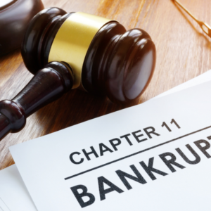 Reorganization Plan in Chapter 11 Bankruptcy